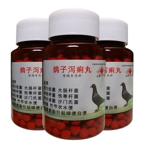 Pigeon salmonella pigeon green watery stool Estool Escherichia coli