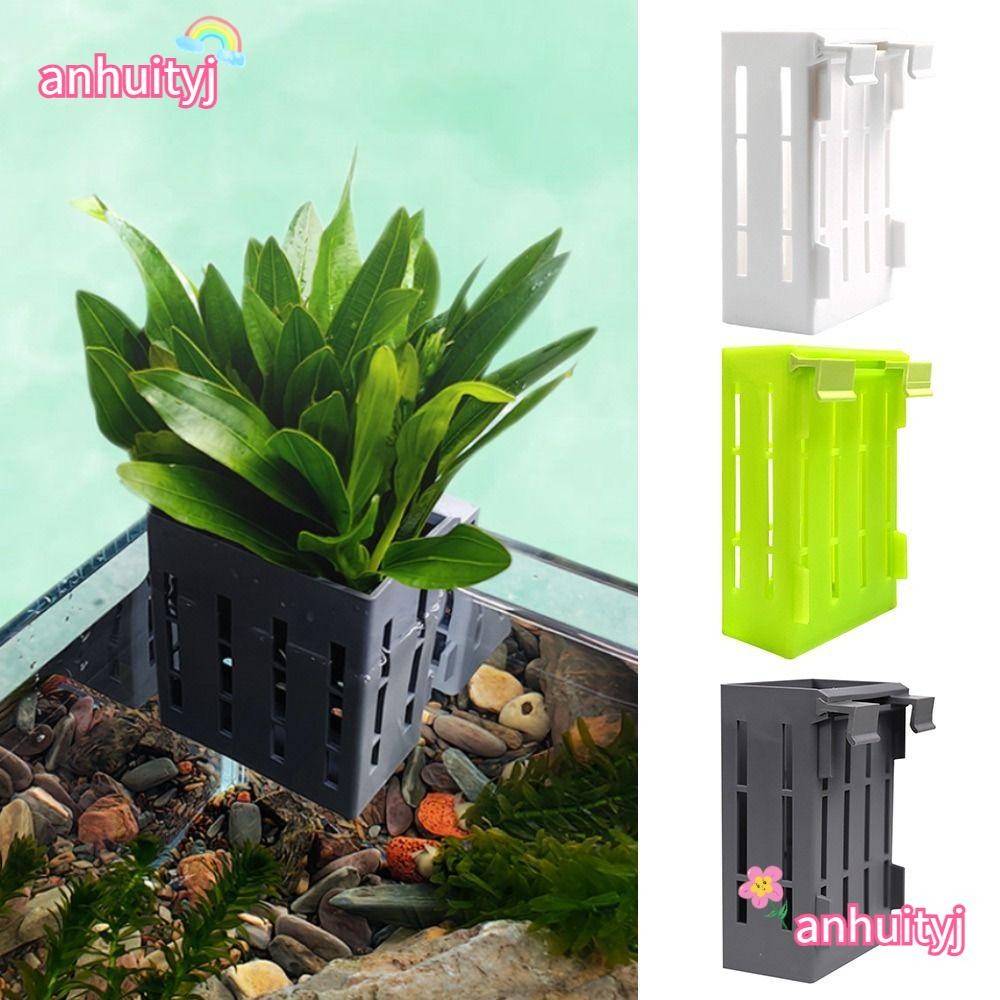 Aquarium of vijver drijfplanten ringset | ShrimpMania