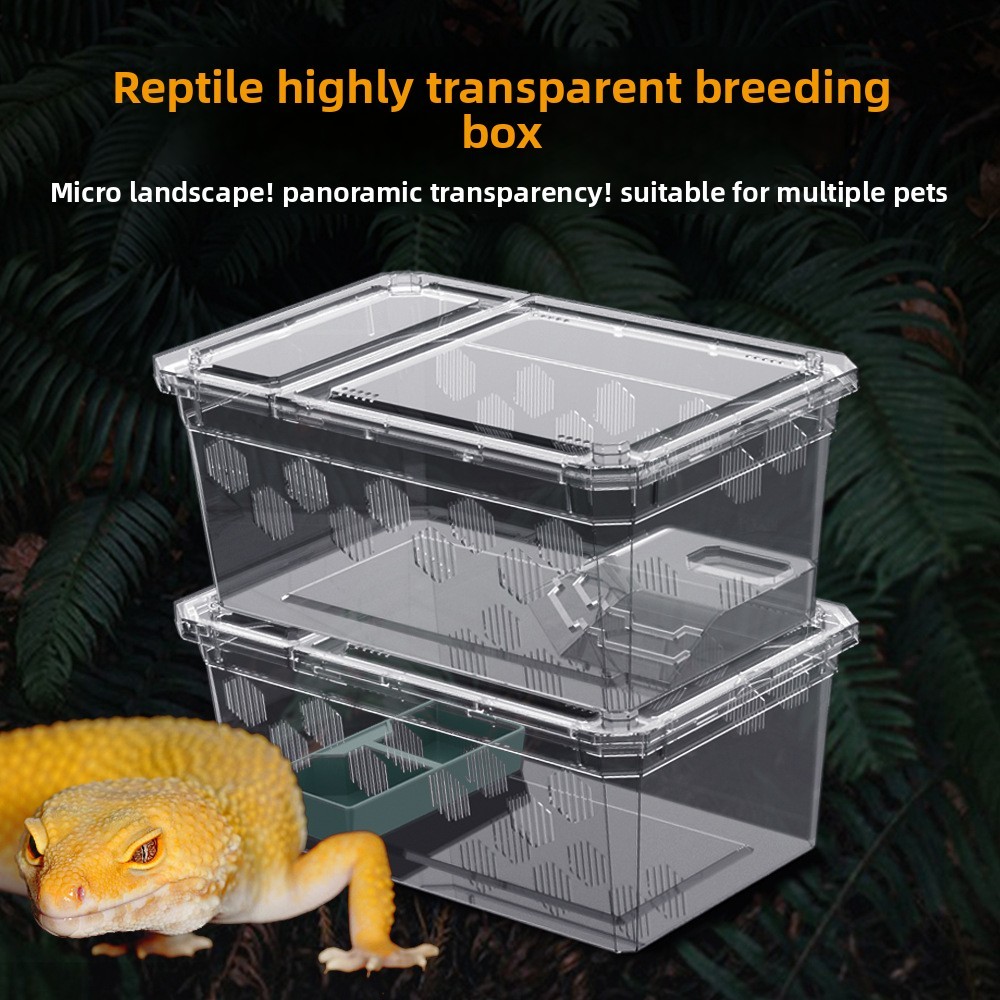 Nomo Reptile Breeding Box Suitable for Snakes, Spiders, Scorpions ...
