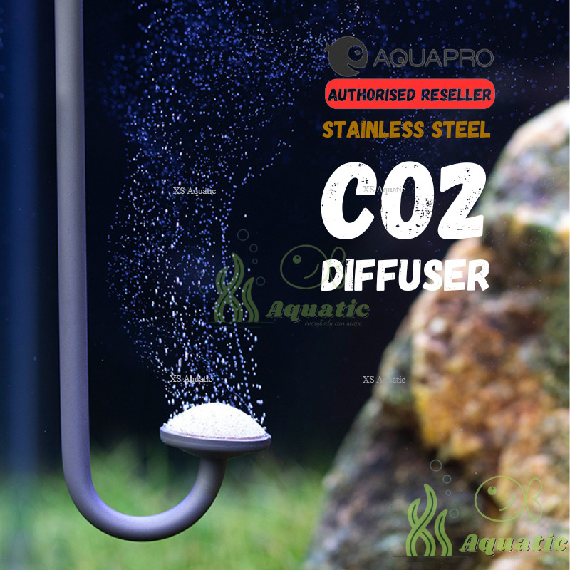 Aquarium Plant Diffuser Aquarium CO2 Diffuse Atomizer, Dioxide Dissolve ...