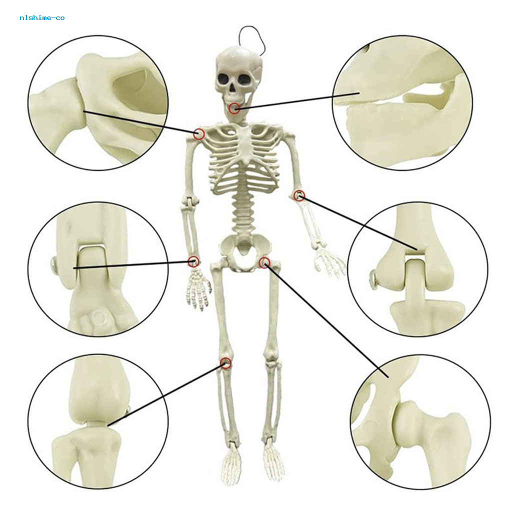 nlshime Skeleton Halloween Decorations Poseable Skeleton Figure ...