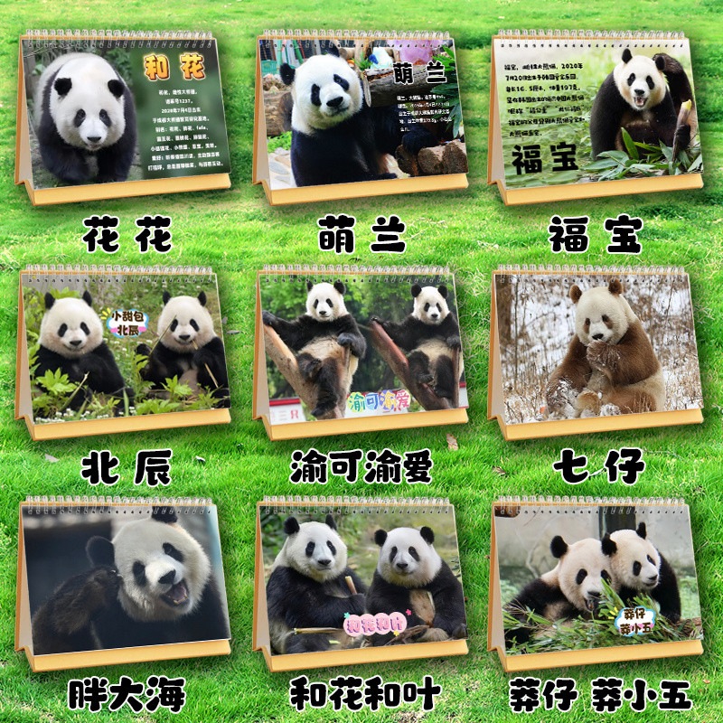 Fu BAO Big Panda Yu Keyu Aimeng Lan Fubao Huahua Beichen Qizai Fat Sea ...