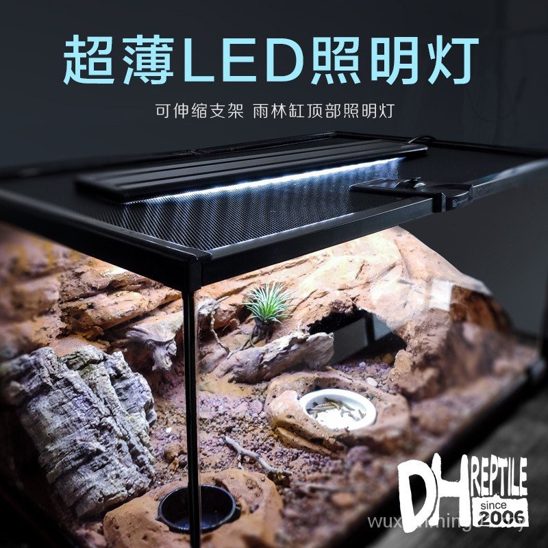 Climb Pet Breeding Box Bracket Water Turtle Rainforest Tank Light ...