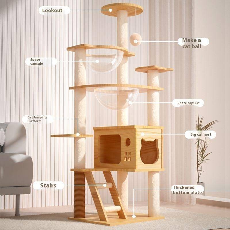 Integrated Large All-Day Shelf Clearance Scratching Board Occupying ...
