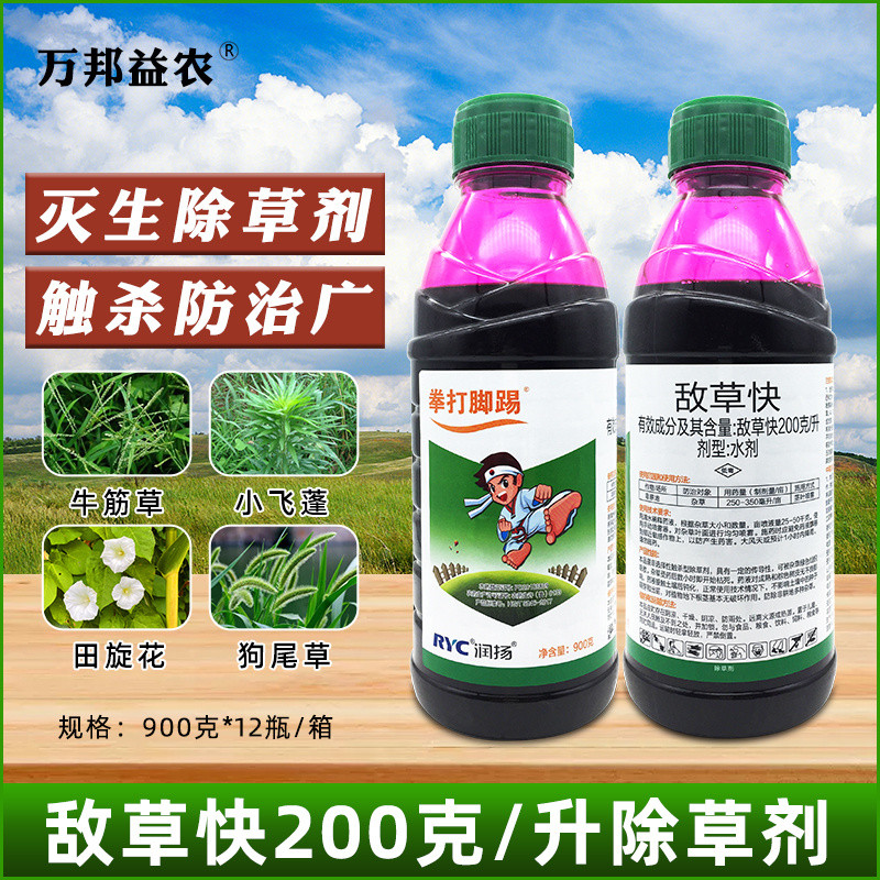Runyang Punch dan Kick Racun Herbis Tulen 200g/Liter Diuron Rumpai ...