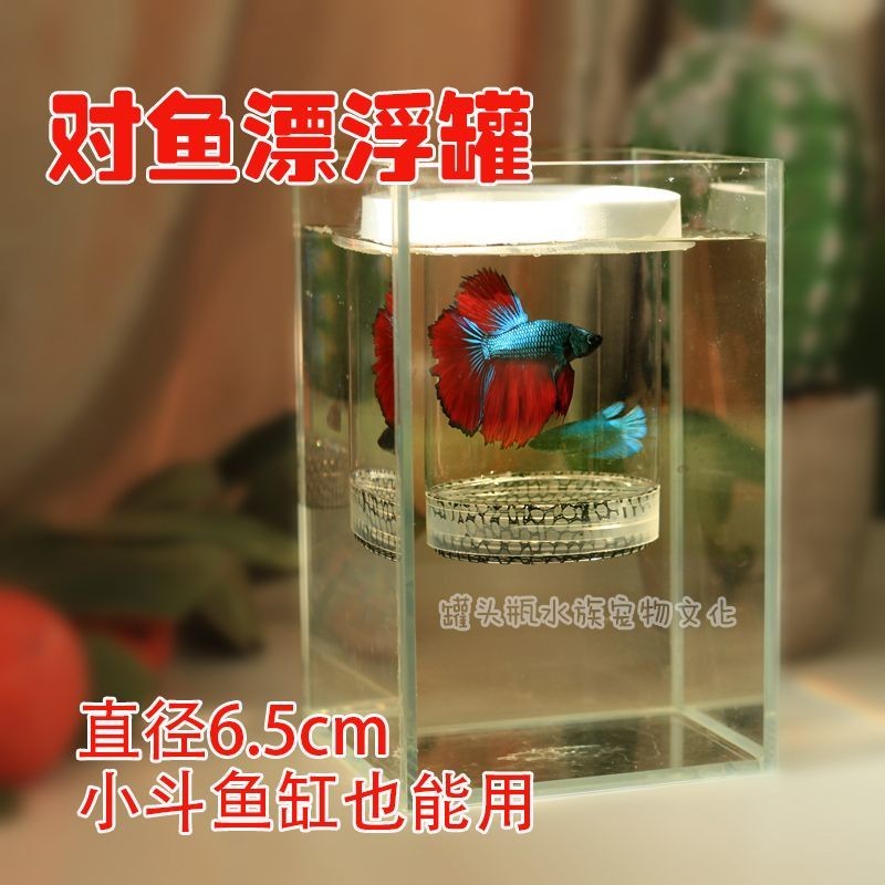 2025新款隔离对鱼罐泰国斗鱼繁殖罐悬浮漂浮罐小缸可用缸内自漂浮防互斗Isolation of fish tanks, Thai ...