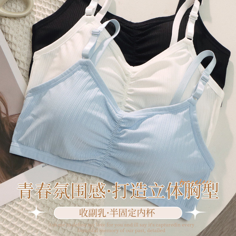 中学　文胸 