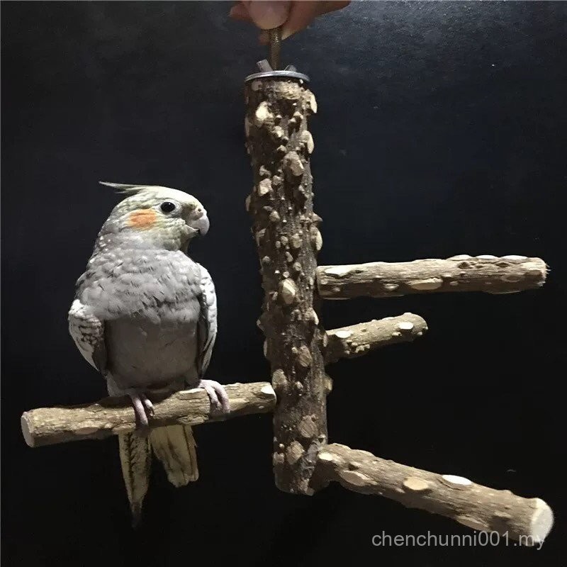 Parrot Accessories For Bars With Easy Attached Toys Reference: New Straw 2023 Sichuan Pepper Wooden Bird Standing Stick Parrot