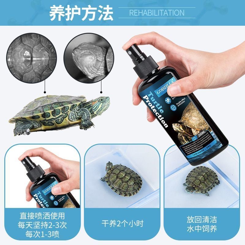 Turtle Medicine Rotten Skin Rotten Armor Rotten Shell Universal ...