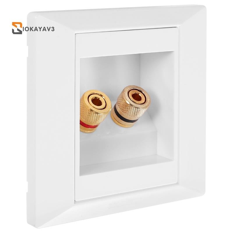(R)Wall Socket Connection Port with 2 Jack Speaker White | Shopee Malaysia