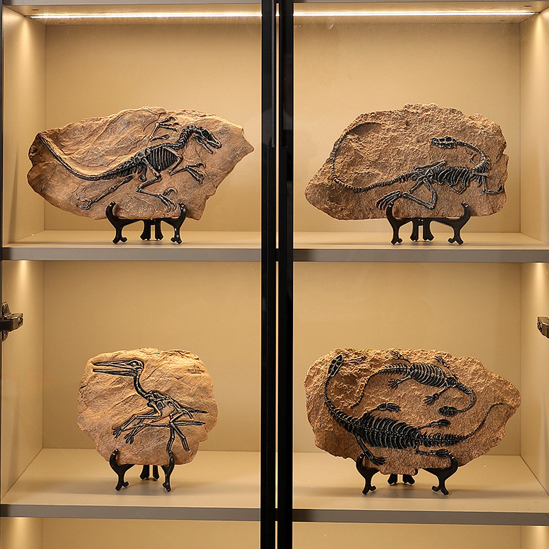 Creative Simulation Dinosaur Fossil Decoration Tyrannosaurus Rex Bone ...