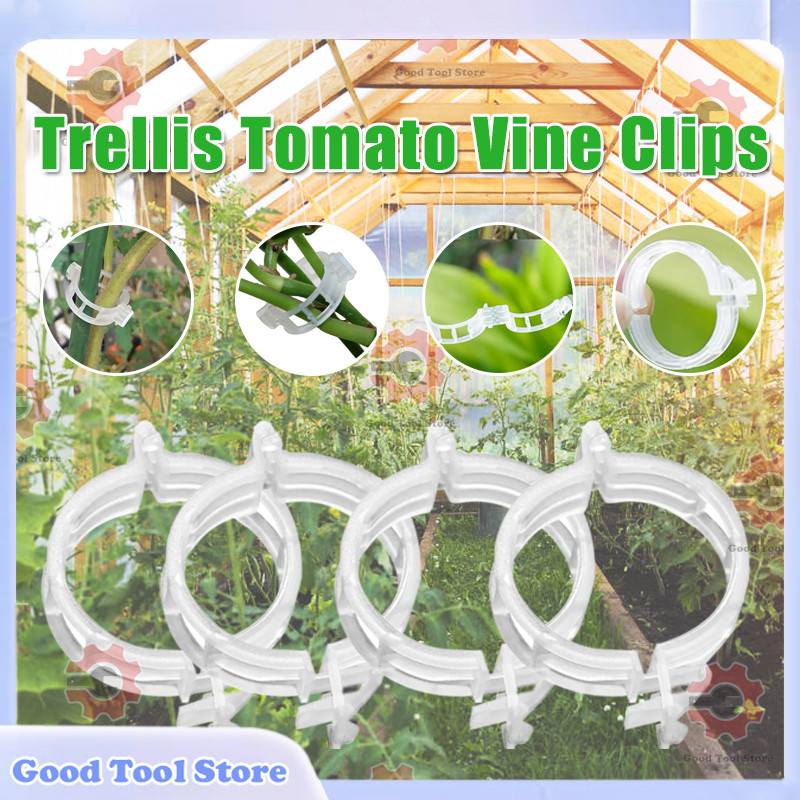 Trellis Tomato Vine Clips Melon Vine Fixed Clips Fastening Clip Trellis ...