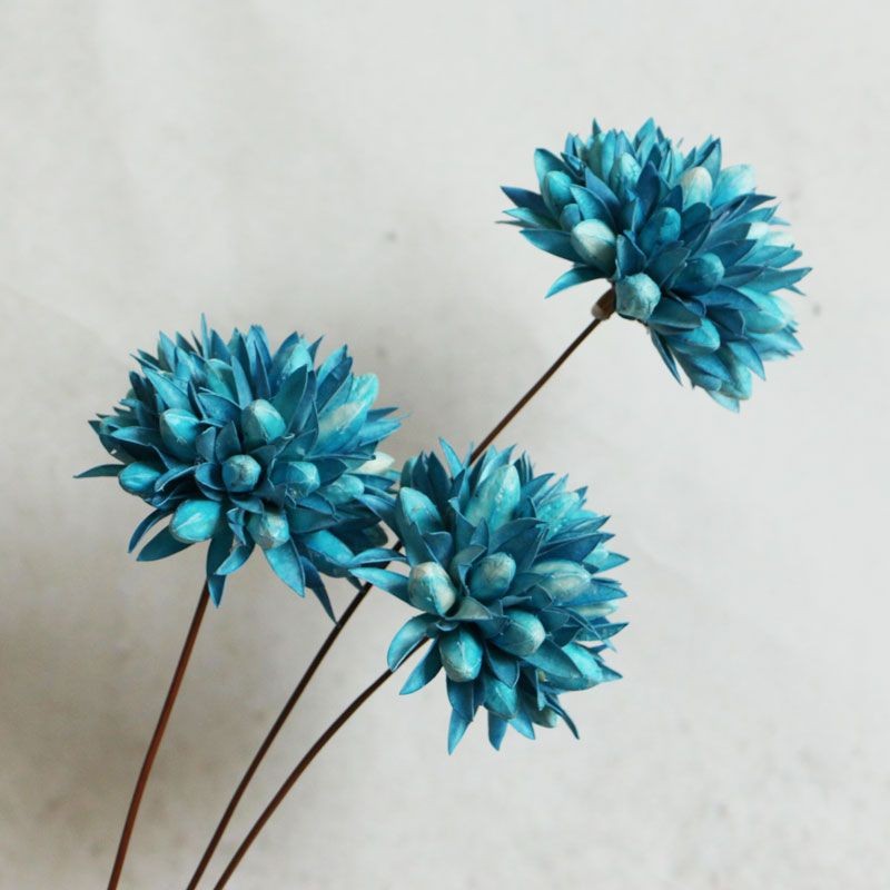 Linna Xinyun dried flower bouquet, long-lasting natural dried flower ...