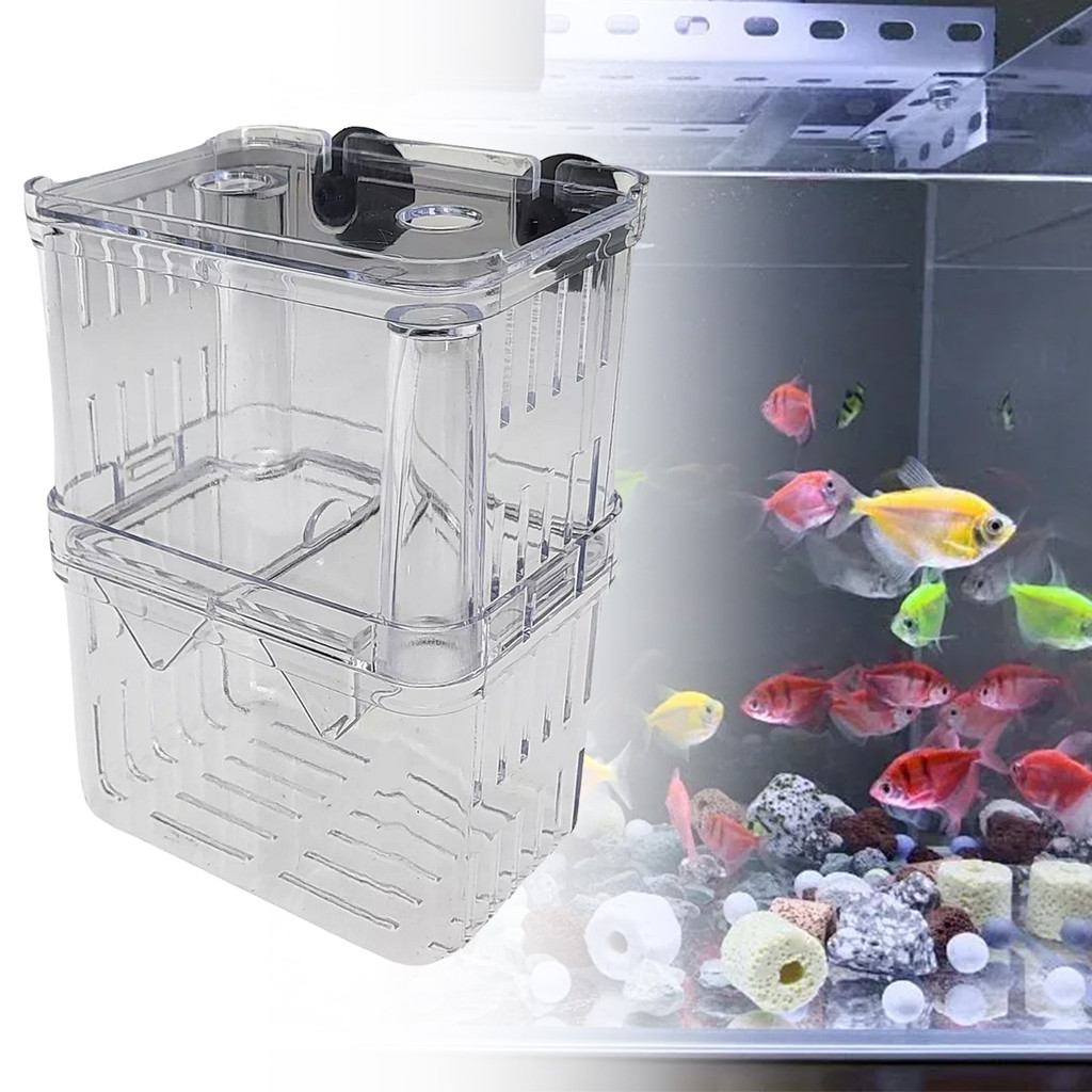Aquarium Breeder Box: Double Deck Clear Acrylic Fish Tank Breeding