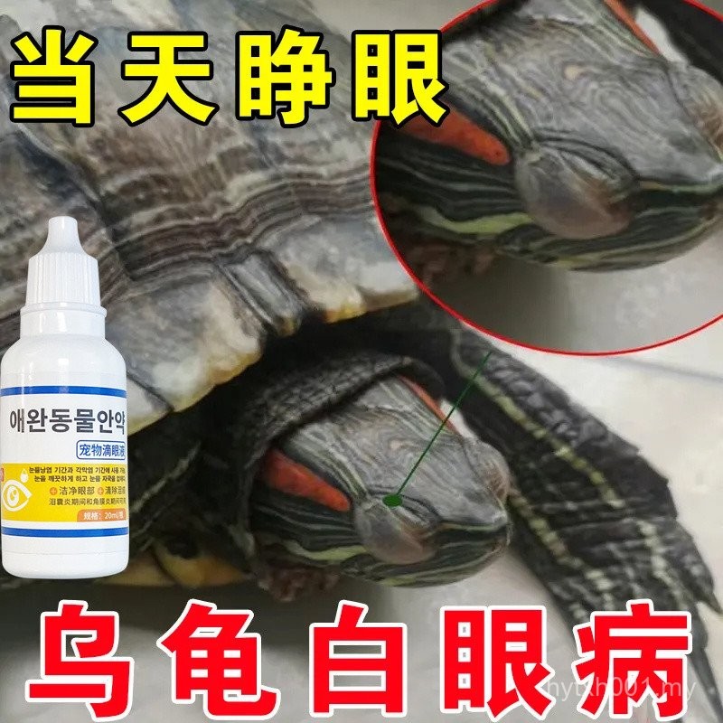 Turtle Eye Cleaning Liquid Nursing Cleaning Anti-Inflammation Brazil ...