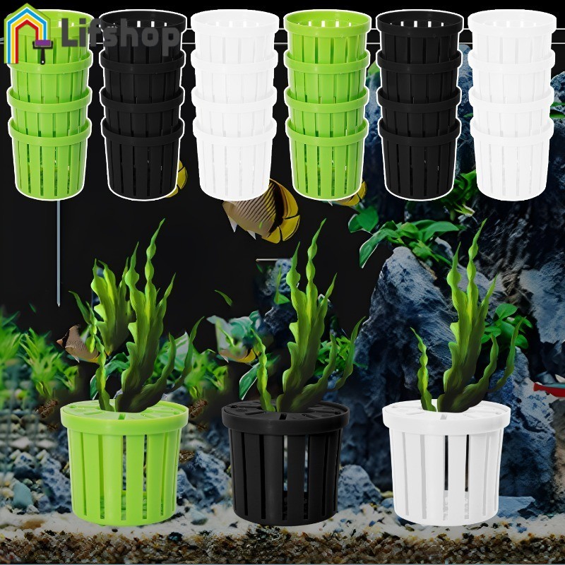 Gallery Detail: 10 Creative Goldfish Tank Ideas To Enhance Your Aquarium Décor