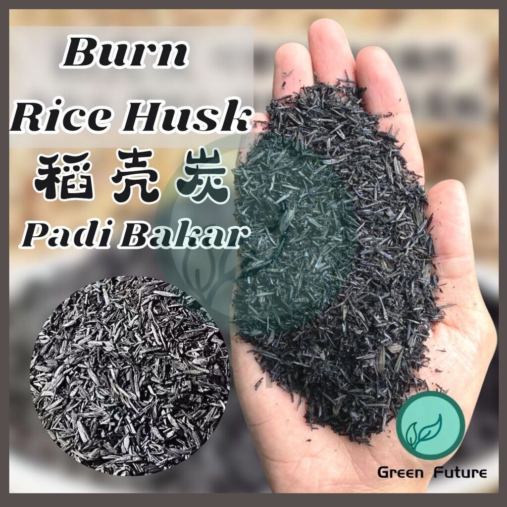 稻壳炭 CHARCOAL POWDER FOR CACTUS SUCCULENT 稻米碳 稻米壳 稻米壳碳 padi bakar rice ...