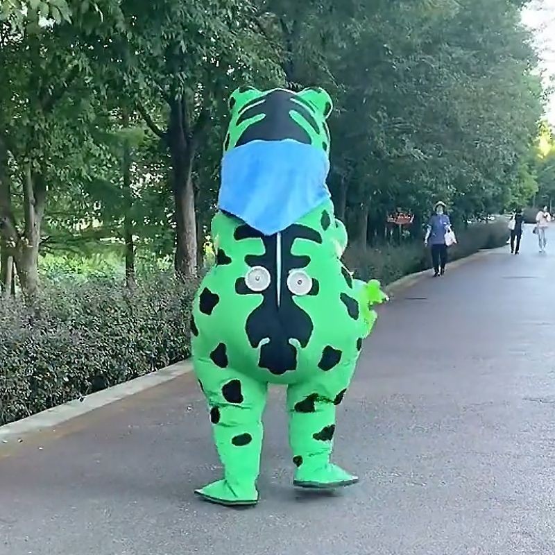 Frog Cartoon Doll Costume Toad Inflatable Walking Performance Funny ...