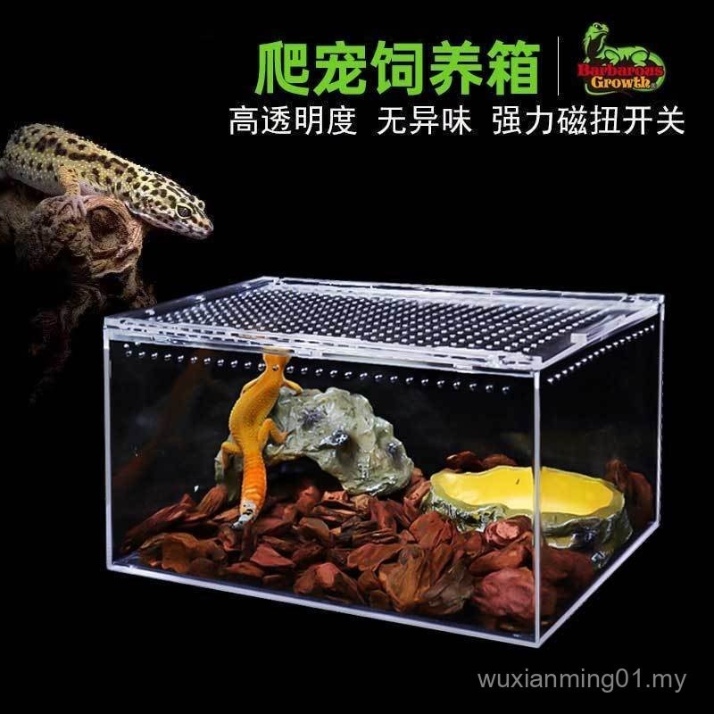 Acrylic Shape Climbing Pet Gecko Lizard Breeding Box Desert Landscaping ...
