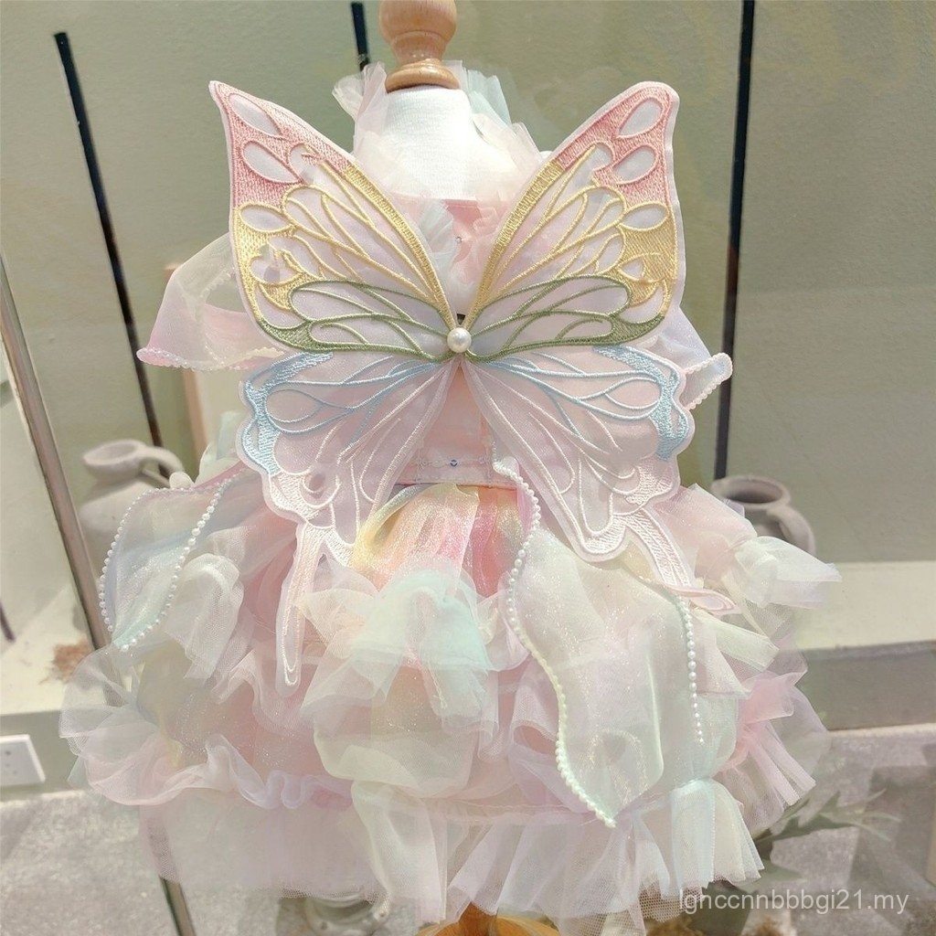 Rainbow Fairy Phantom Pink Butterfly Wings Spring Summer Cat Bichon ...