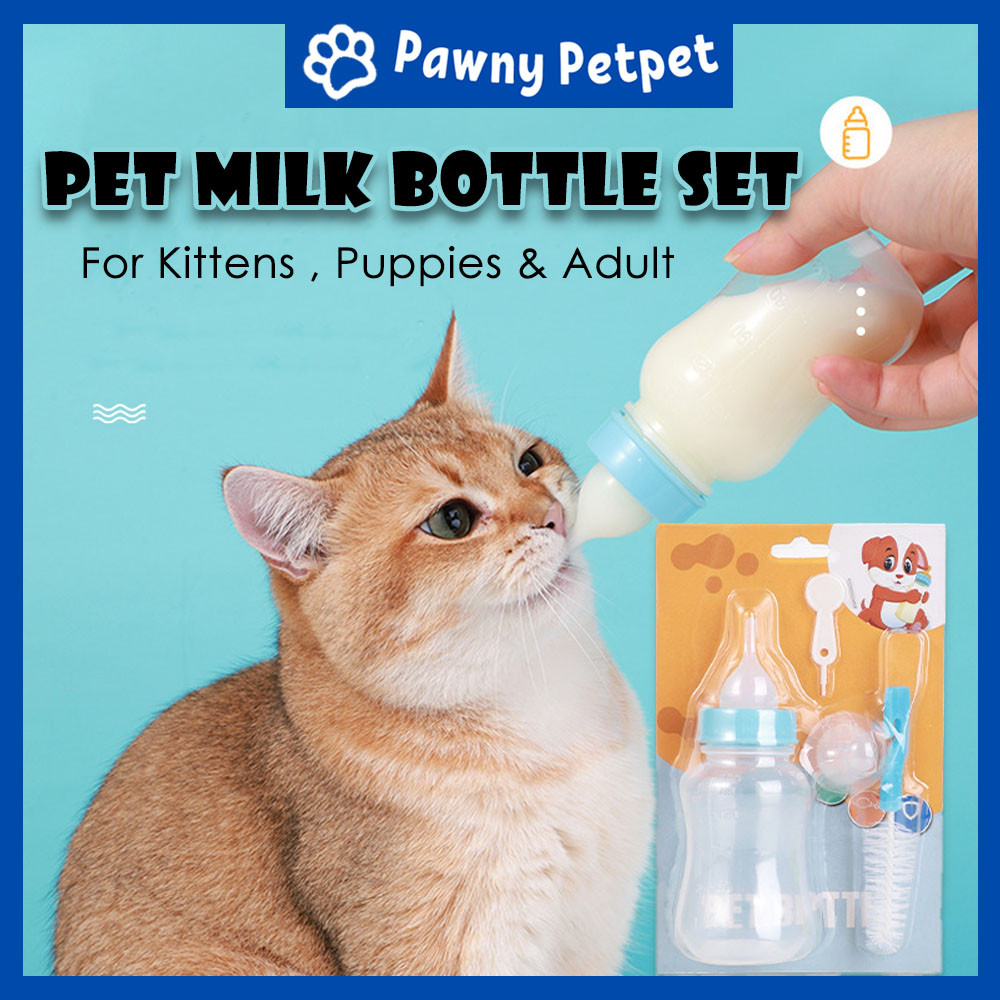 Baby Bottle How Much Kitten Milk Should A Kitten Drink Baby Bottle