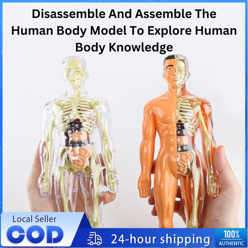 Human Body Anatomy Science Body Puzzle Human Body Anatomy Human Body ...