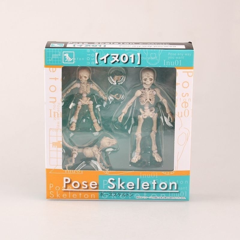 Pose Skeleton Q Version 3 Body Joints Movable Skull Doll Decoration ...