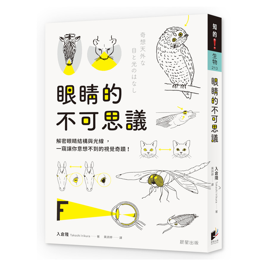 The Mystery Of Eyes: Decrypted Eye Structure And Light, A Glance Of ...