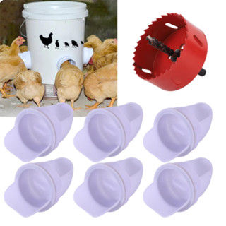 Poultry Feeder Chicken Trough Feeding Bucket Automatic Feeder For