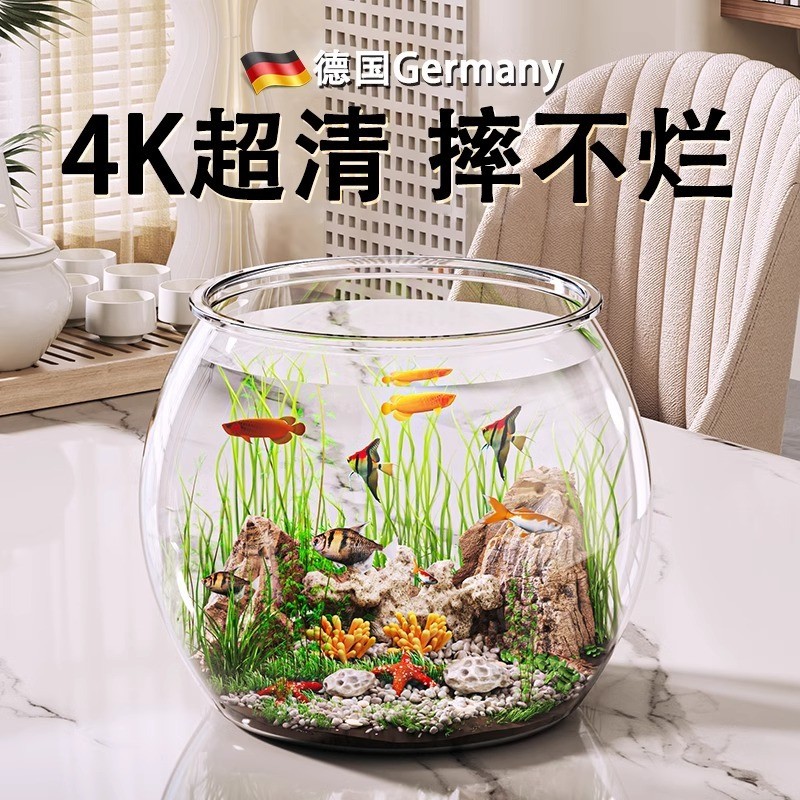 鱼缸fish tank圆形鱼缸家用客厅透明金鱼饲养缸迷你放桌面小型造景乌龟缸生态缸热销款 现货 24.11.11 | Shopee Malaysia