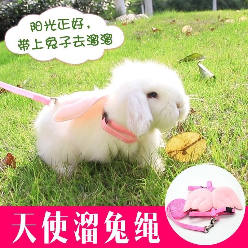 4692 people collect rabbit traction rope rabbit rabbit rope supplies ...