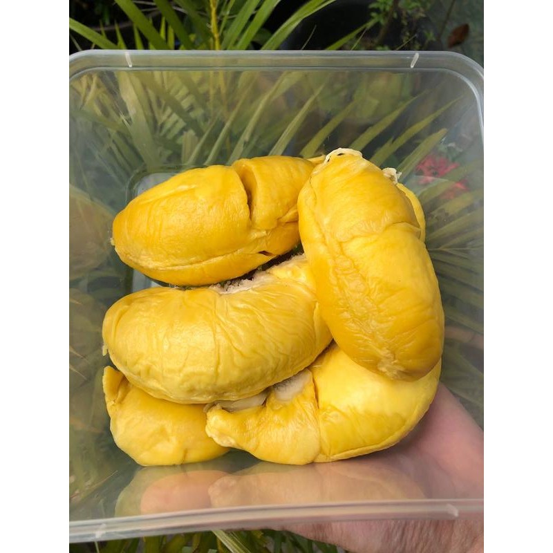 Durian Musang King Pulp Freshly daripada ladang 500g/1kg | Shopee Malaysia
