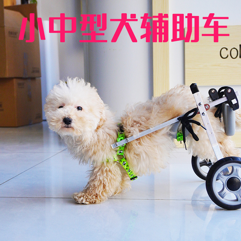 Dog Wheelchair Pet Auxiliary Vehicle Teddy Dog Cat Rear Limb ...