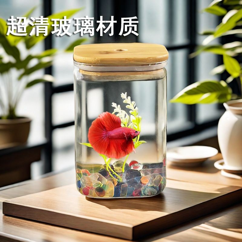 Taidou Dedicated Small Fish Tank Desktop Mini Small Glass Betta Box ...