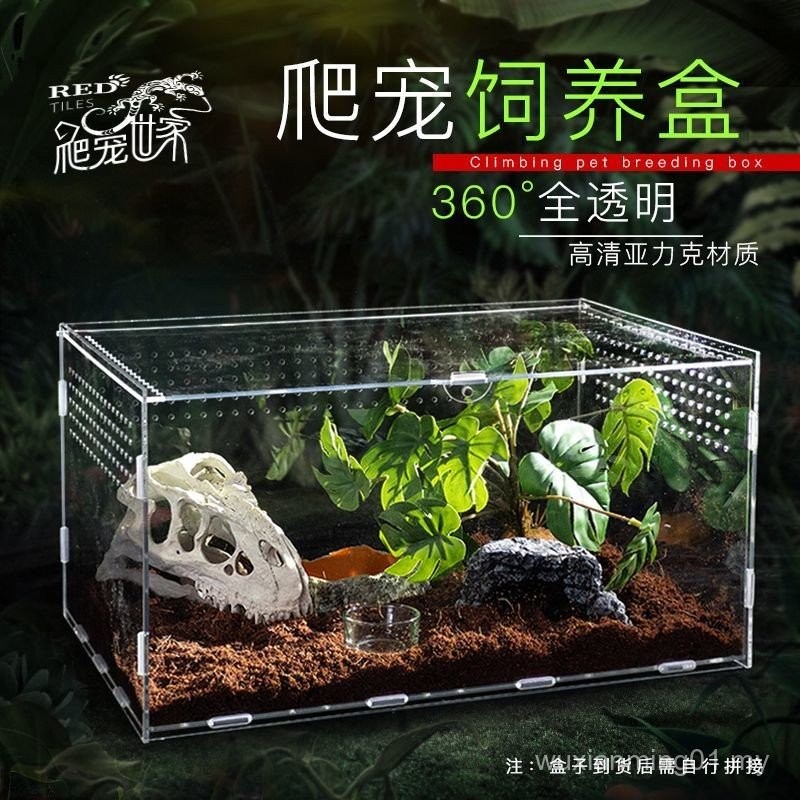 Reptile Acrylic Assembled Small Breeding Box Spider Rainforest Scorpion ...