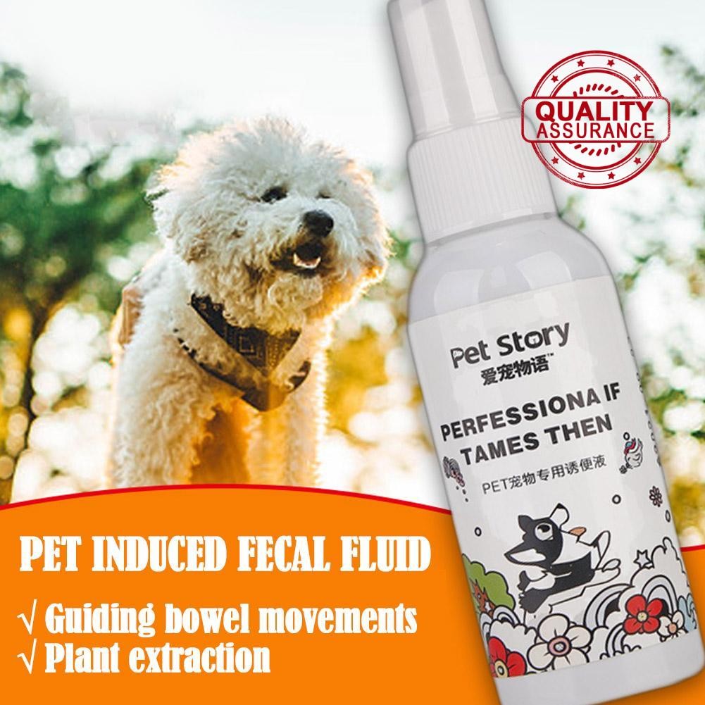 Training Dog Toilet Training Liquid Positioning Defecation Inducer ...
