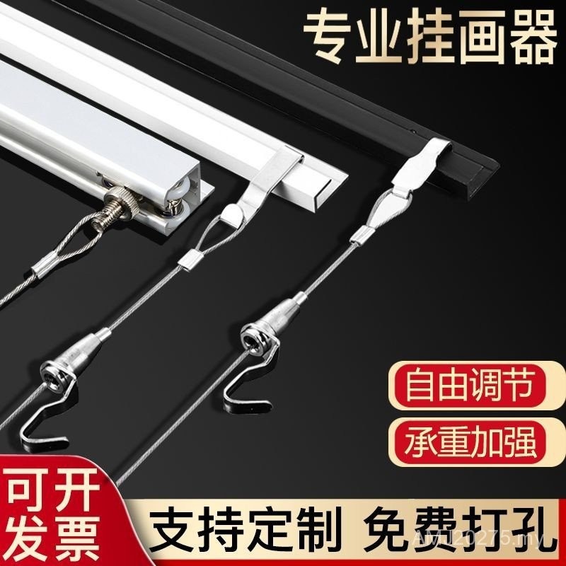 Picture Hanging Rail Strip Steel Wire Rope Hook Hanging Rope Silk ...