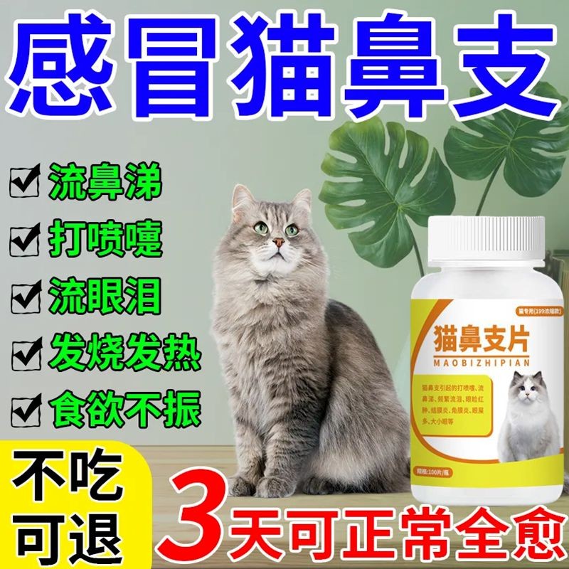 Nasal Sticks Clearing Cat Nasal Sticks Cat Sneezing Snot Coughing Eyes ...