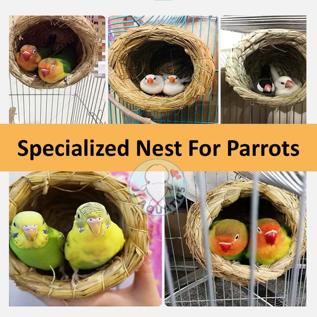 Natural Straw Bird Nest Sarang Burung Parrot Home House Great ...