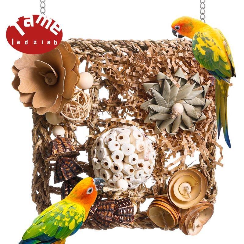 A closer look at Next Generation Foraging Toys For Parakeets