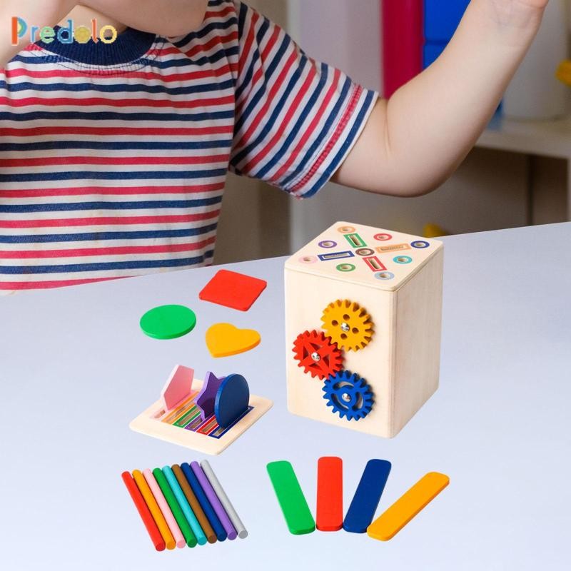Predolo Children Color Sorting Box Wooden Color Matching for Boys and ...