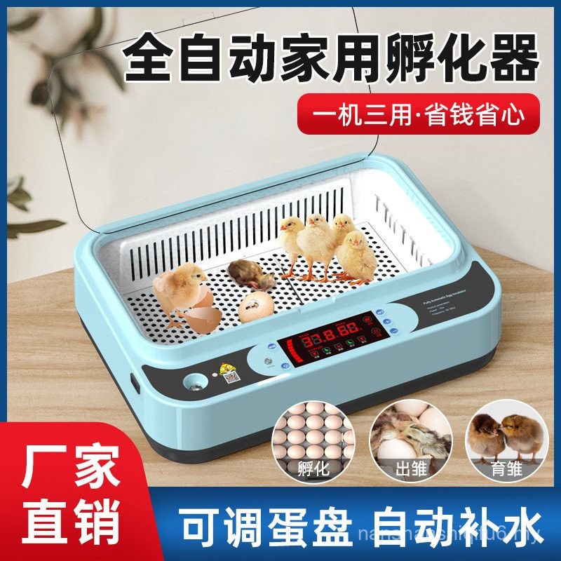 Weizhen Incubator Automatic Smart Incubator Small Household Mini Egg ...