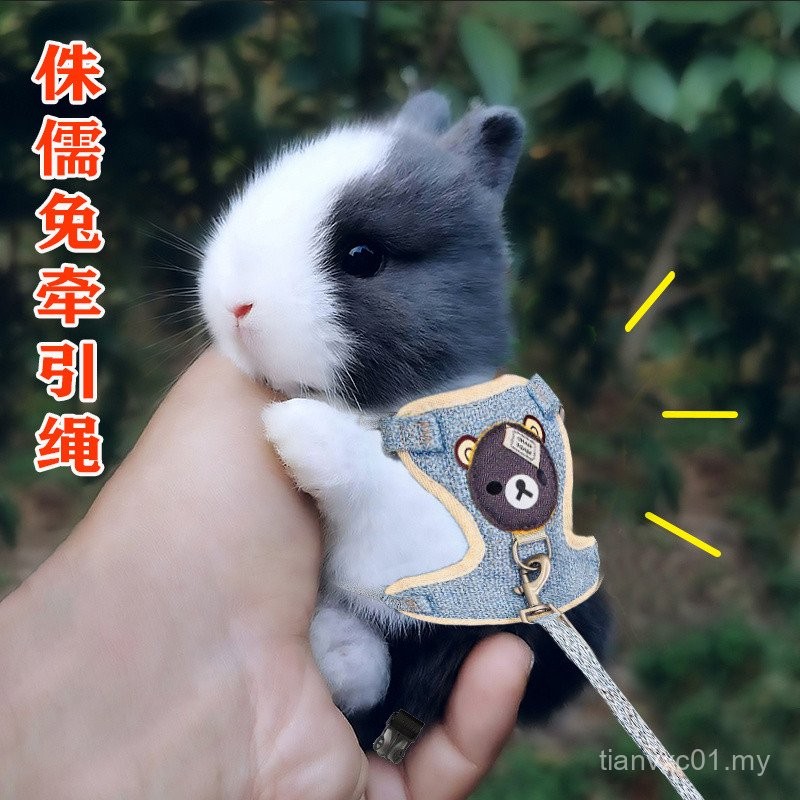 Hot Sales Bunny Traction Rope Special for Midget Rabbit Anti-breakaway ...