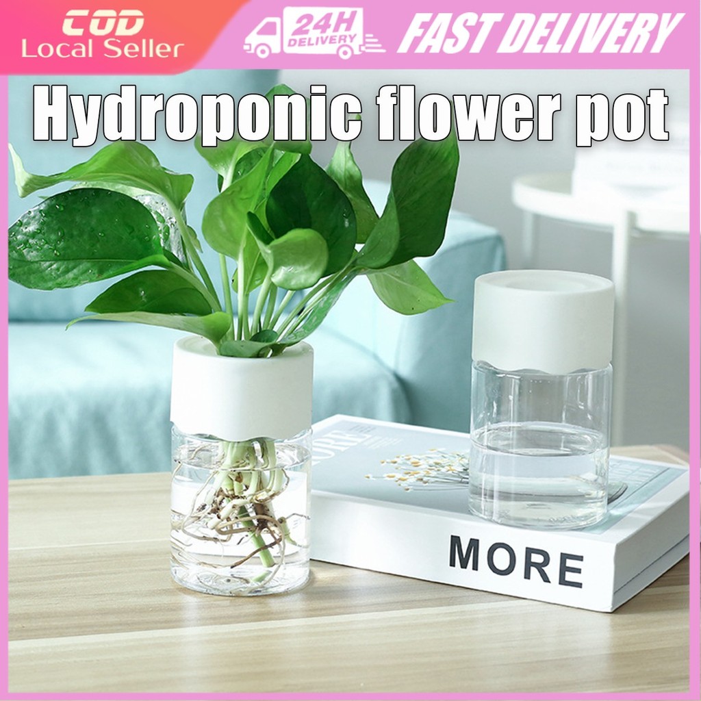 Transparent Hydroponic Flower Pot Mini Small Plastic Hydroponic Potted ...