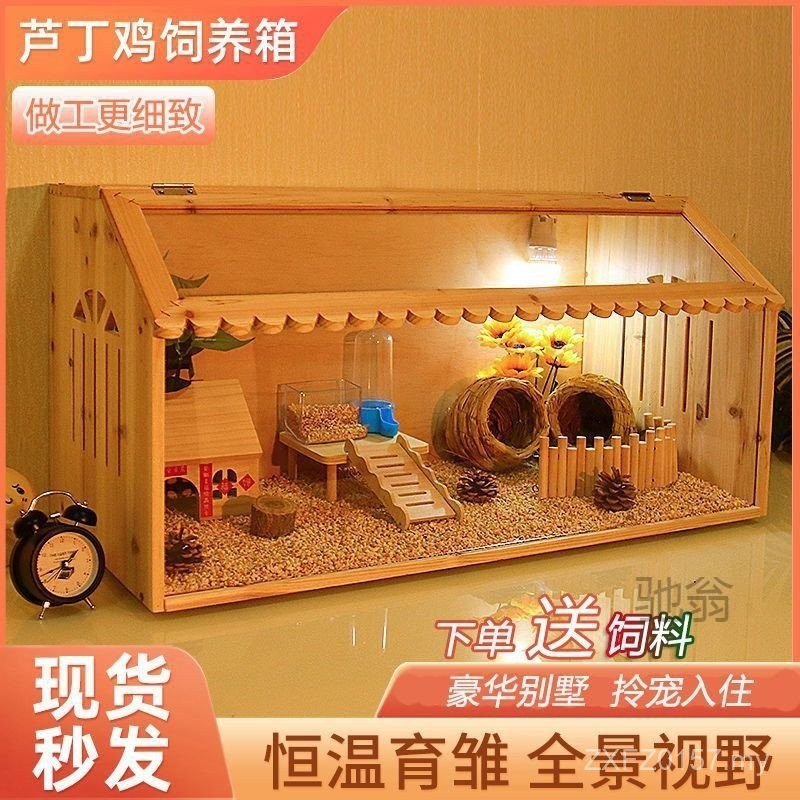 Insulated Chicken f Villa Landscaping Breeding Box Dedicated Hamster ...