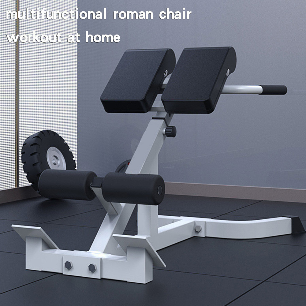Adjustable Roman chair Abs Waist Back Arm Leg exercise Gym bench ...