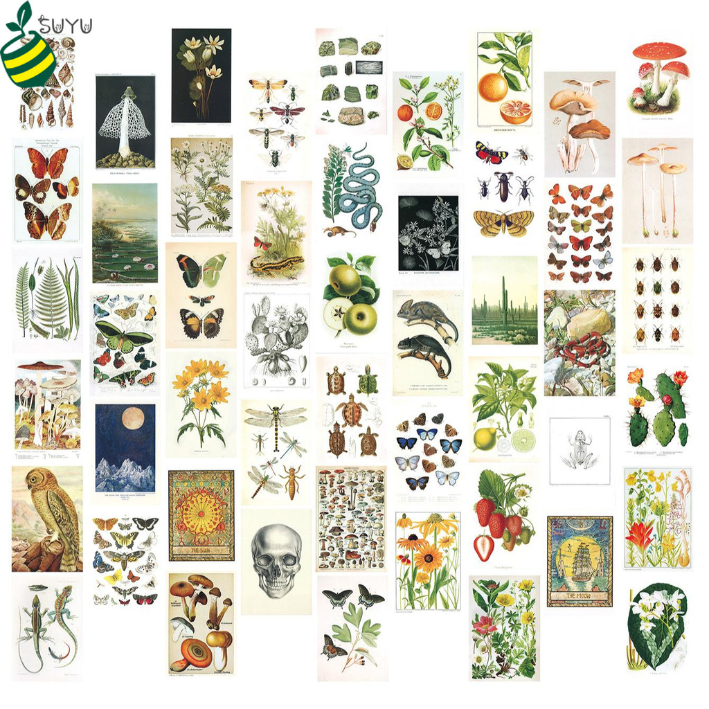 50pcs/pack Vintage Wall Collage Kit, Aesthetic Pictures Room Decor For ...
