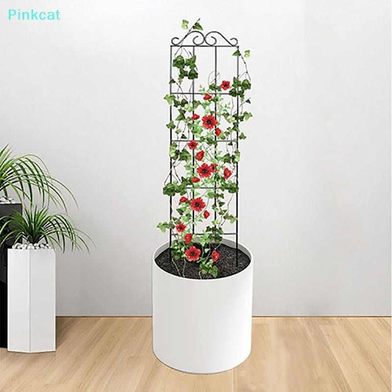 Pinkcat Plant Stem Climbing Rack Plant Trellis Support Stake Stand ...