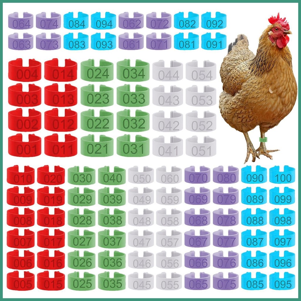 Chicken Identification Tags Colorful Poultry Identification Band Animal ...