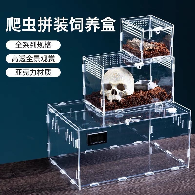 Reptile Pet Reptile Acrylic Breeding Box Spider Gecko Lizard Scorpion ...